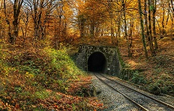 تور یک روزه شیرگاه