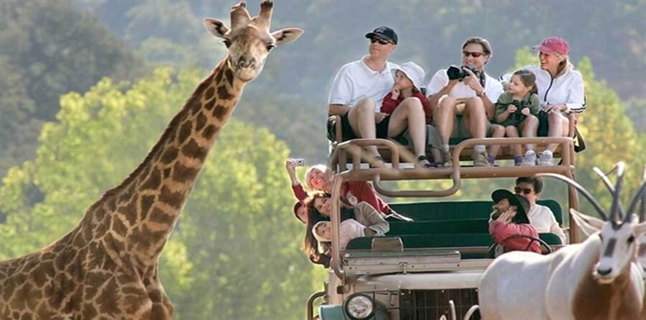 11 روز افریقای جنوبی؛حیات وحش و فرهنگ