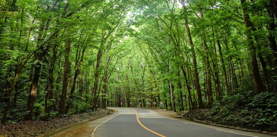 پیاده روی در جنگل ازان ده (سواد کوه)